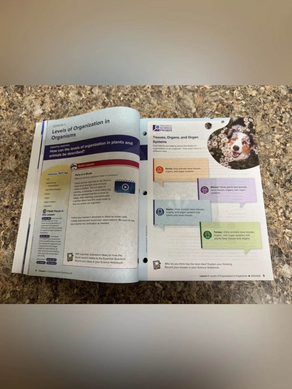 Florida Life Science Textbook by McGraw Hill